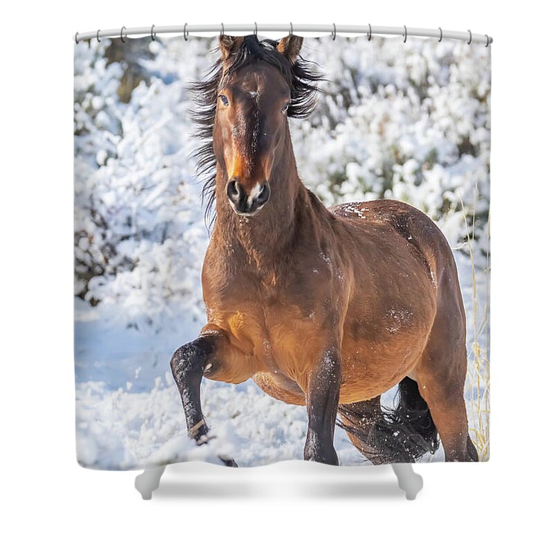 Nevada Shower Curtain featuring the photograph Snowy Stallion Portrait by Marc Crumpler