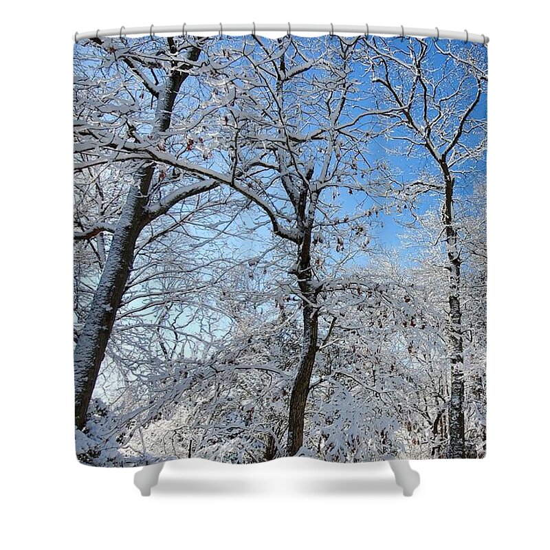 Snow Covered Shower Curtain featuring the photograph Snowy Trees and Blue Sky by Stacie Siemsen