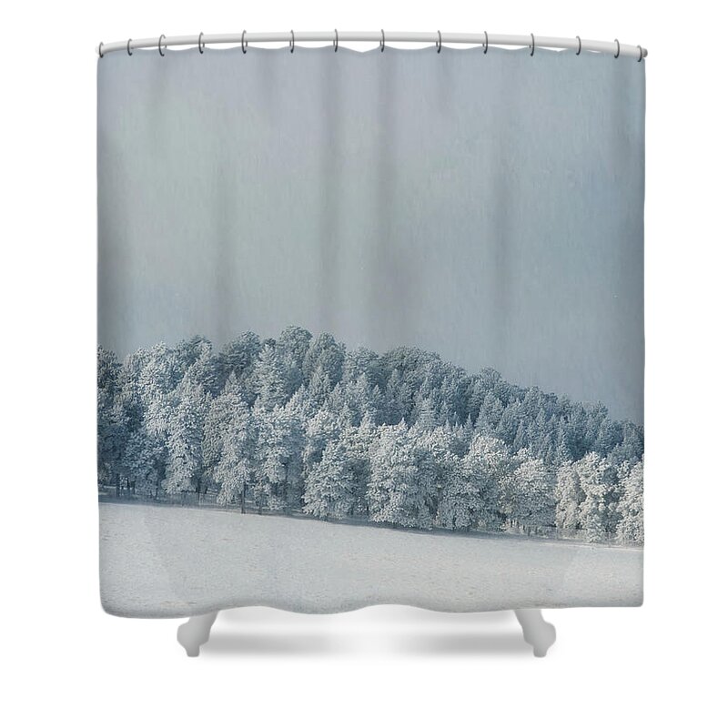 Snow Shower Curtain featuring the photograph Snowy Trees by Kevin Schwalbe