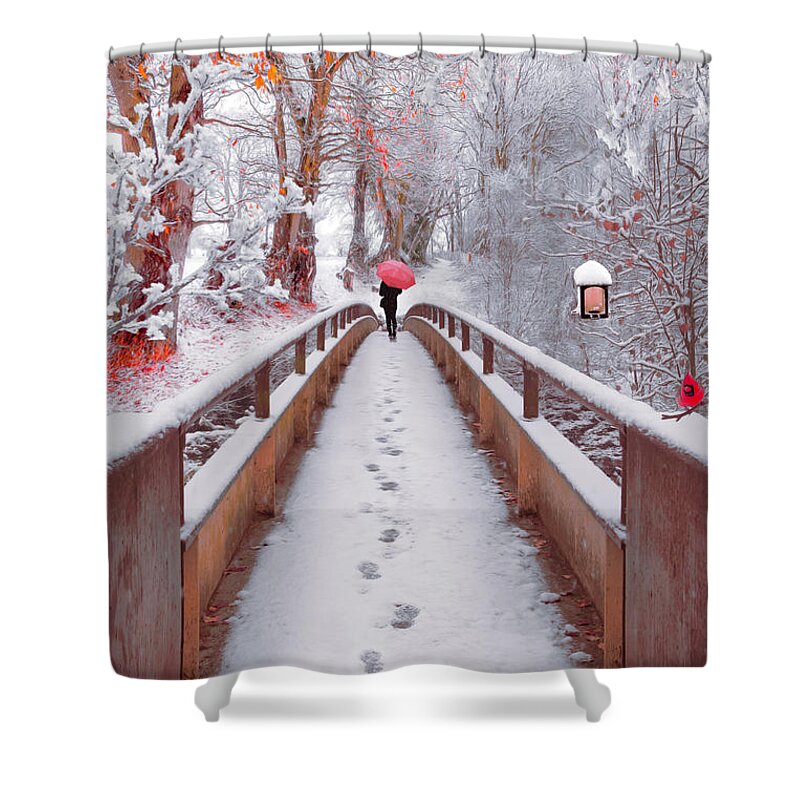 Carolina Shower Curtain featuring the photograph Snowy Walk Painting by Debra and Dave Vanderlaan