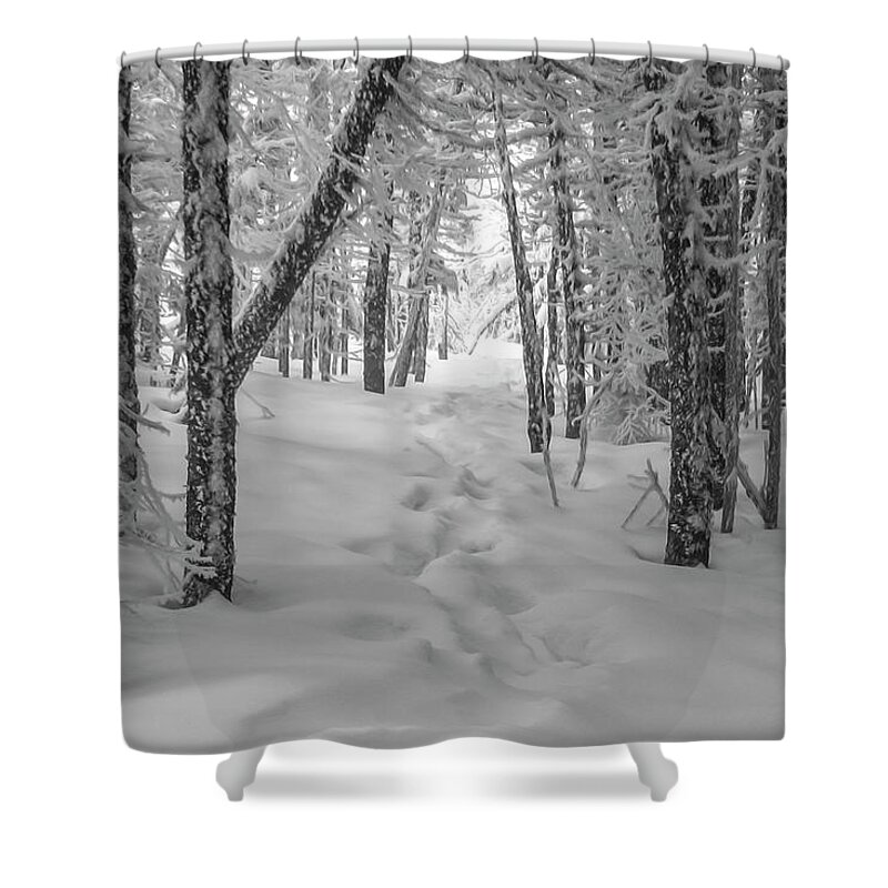 Snowy Shower Curtain featuring the photograph Snowy Winter Path by White Mountain Images