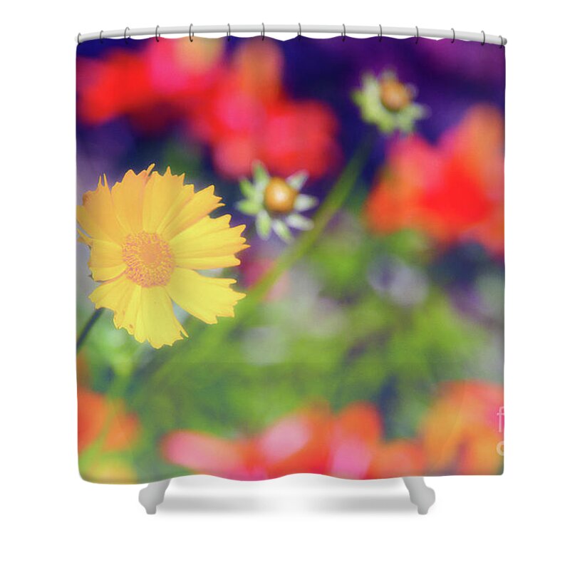 Soft Shower Curtain featuring the photograph Soft and Light 21 by Becqi Sherman