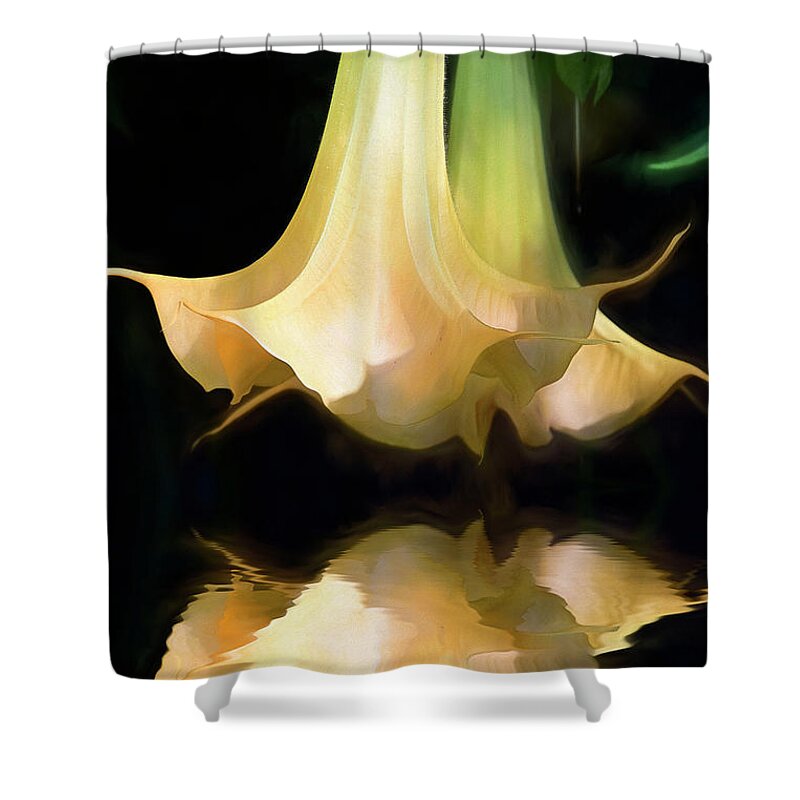 Lily Shower Curtain featuring the photograph Soft Lily Reflection by Kathy Baccari
