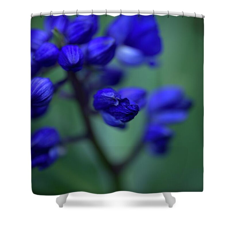 Blue Ginger Shower Curtain featuring the photograph Soft Seduction in Blue by Heidi Fickinger