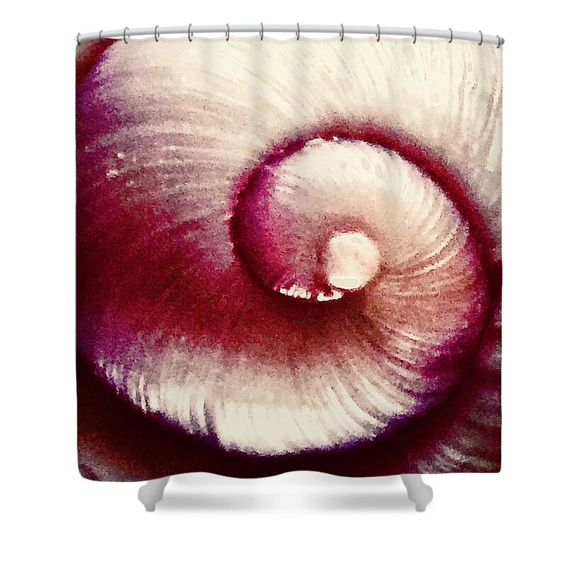 Shell Shower Curtain featuring the photograph Soft Serve by Kerry Obrist