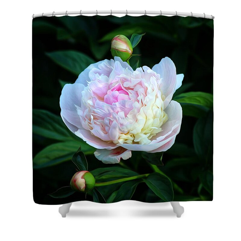 Flower Shower Curtain featuring the photograph Softly Pink by Hans Brakob