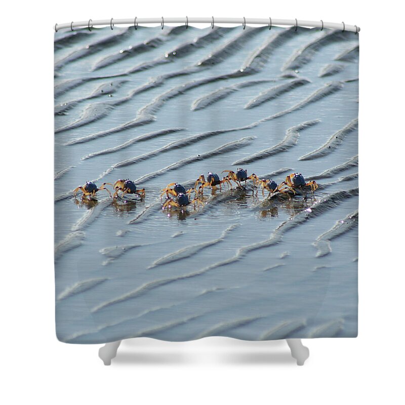 Animals Shower Curtain featuring the photograph Soldier Crabs Marching on Mud Flats by Maryse Jansen