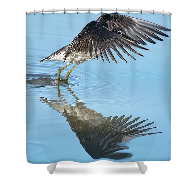 Chevalier Solitaire Shower Curtain featuring the photograph Solitary sandpiper by Carl Marceau
