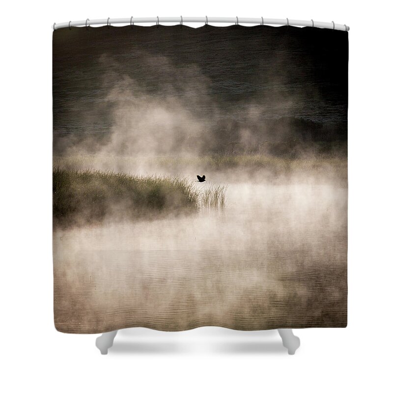 Solo Bird Shower Curtain featuring the photograph Solo bird, morning mist by Donald Kinney