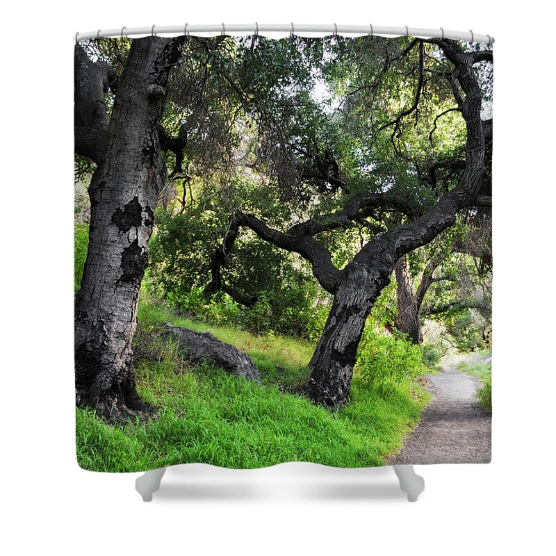 Solstice Canyon Shower Curtain featuring the photograph Solstice Canyon Live Oak Trail by Kyle Hanson