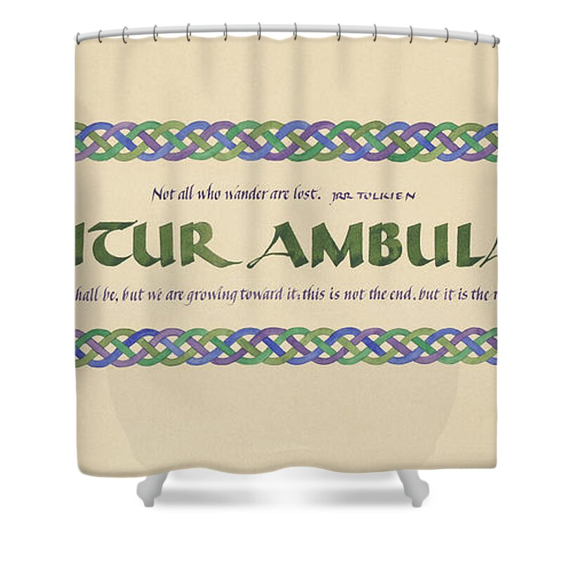Wander Shower Curtain featuring the painting Solvitur Ambulando by Judy Dodds