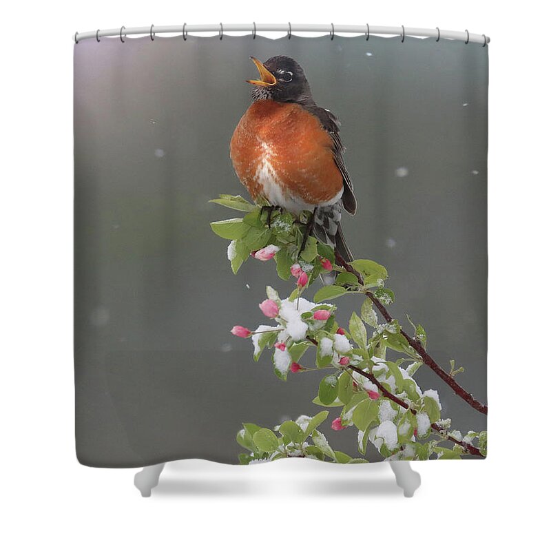  Shower Curtain featuring the photograph Song of Hope by Rob Blair