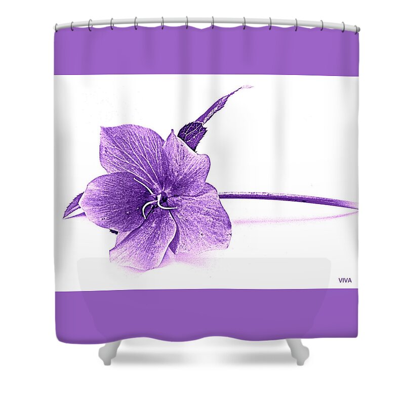 Spring Shower Curtain featuring the photograph Song of Spring - Purple by VIVA Anderson