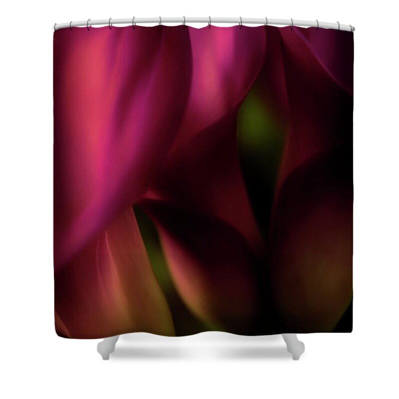 Floral Shower Curtain featuring the photograph Sound of Silence - Red Tones by Darlene Kwiatkowski