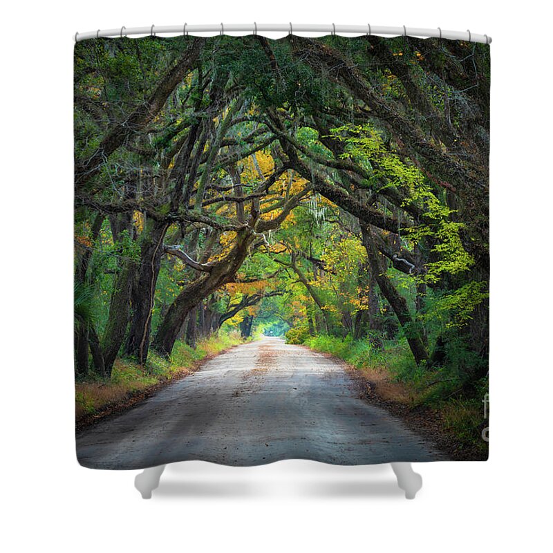 America Shower Curtain featuring the photograph South Carolina Road by Inge Johnsson