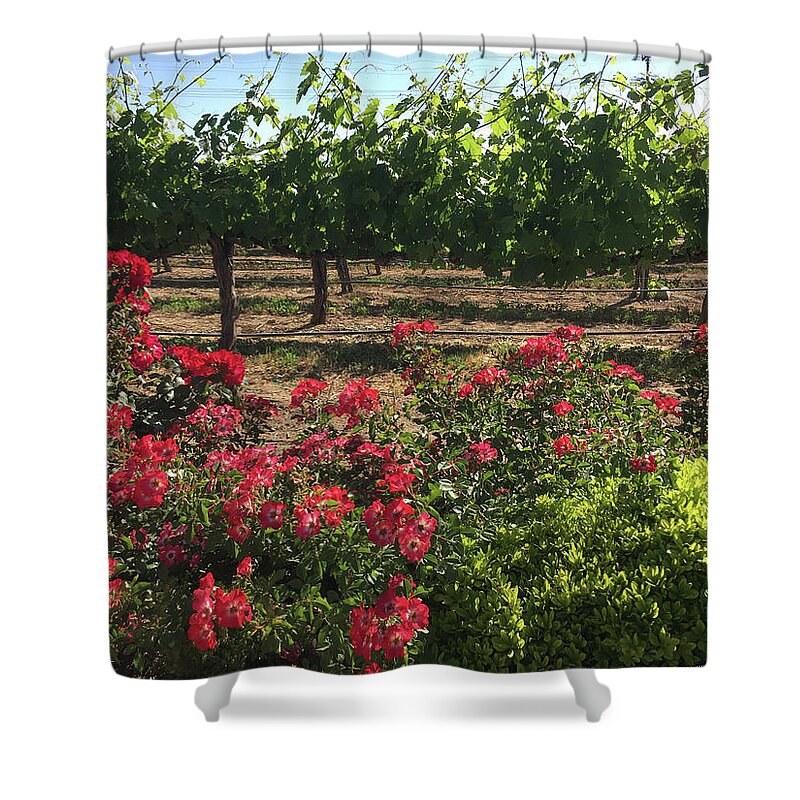 Southcoast Shower Curtain featuring the painting Southcoast Vines by Roxy Rich