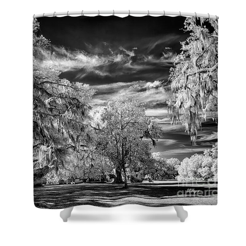 Black & White Shower Curtain featuring the photograph Southern Charm by DBHayes by DB Hayes