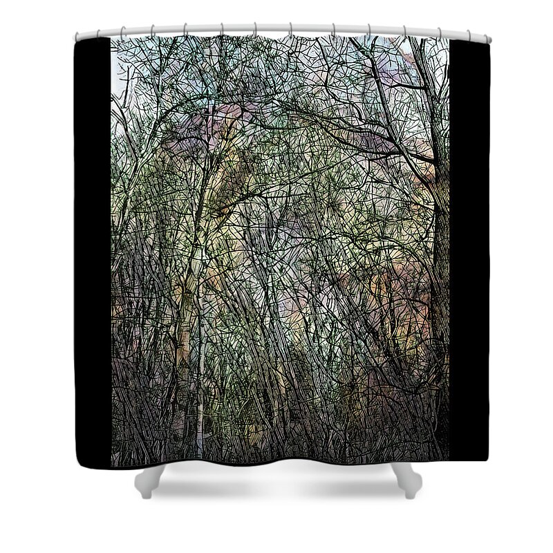 Woods Shower Curtain featuring the photograph Southwind Morning Woods by Tim Nyberg