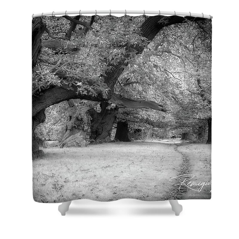 Trees Shower Curtain featuring the photograph Spanish chestnut alley by Remigiusz MARCZAK