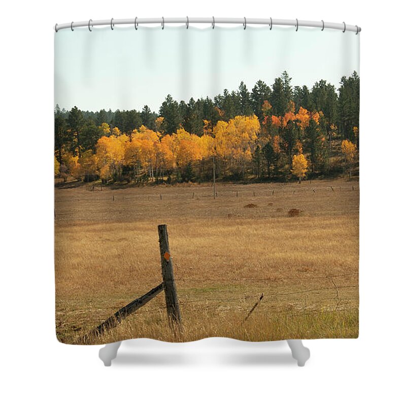 Fall Colors Shower Curtain featuring the photograph Spark of Golden Fall by Cathy Anderson