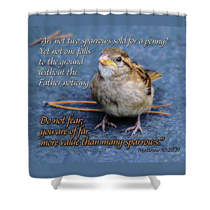  Shower Curtain featuring the mixed media Sparrow Scripture Matthew 10 by Brian Tada