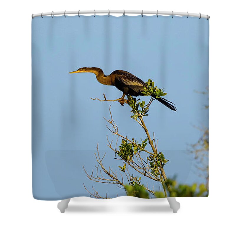 R5-2633 Shower Curtain featuring the photograph Speedster by Gordon Elwell
