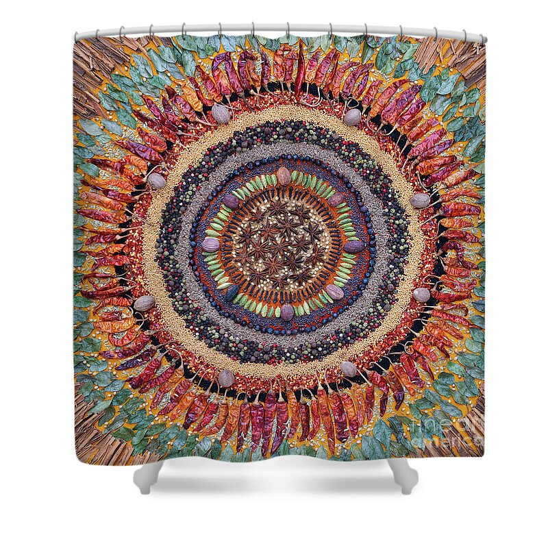 Spice Shower Curtain featuring the photograph Spice Mandala by Tim Gainey