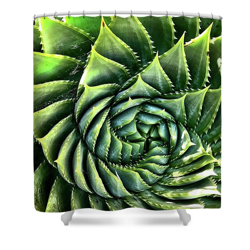  Shower Curtain featuring the photograph Spiral Succulent by Julie Gebhardt