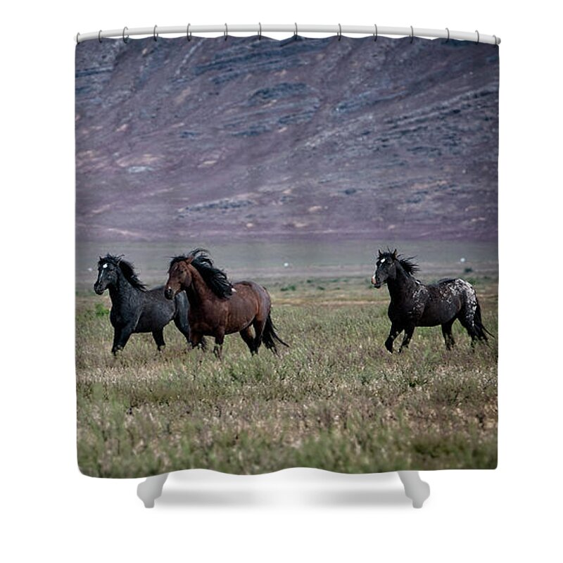 Horse Shower Curtain featuring the photograph Spirit of the Free by Jeanette Mahoney