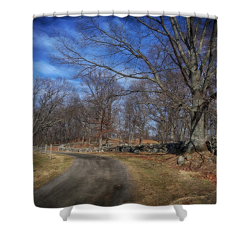 Path Shower Curtain featuring the digital art Spirit Path in the Woods by Russel Considine