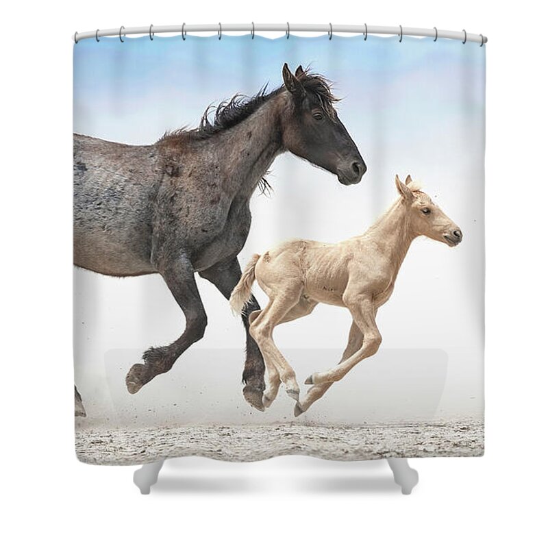 Stallion Shower Curtain featuring the photograph Spitfire on the Run. by Paul Martin