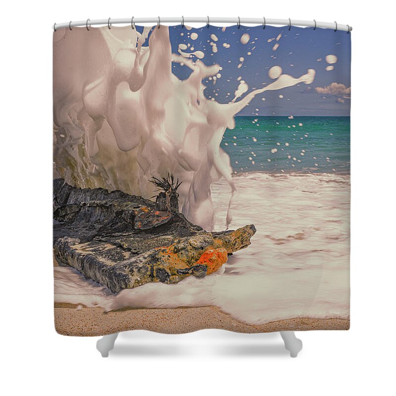 Action Shower Curtain featuring the photograph Splash by Jay Heifetz