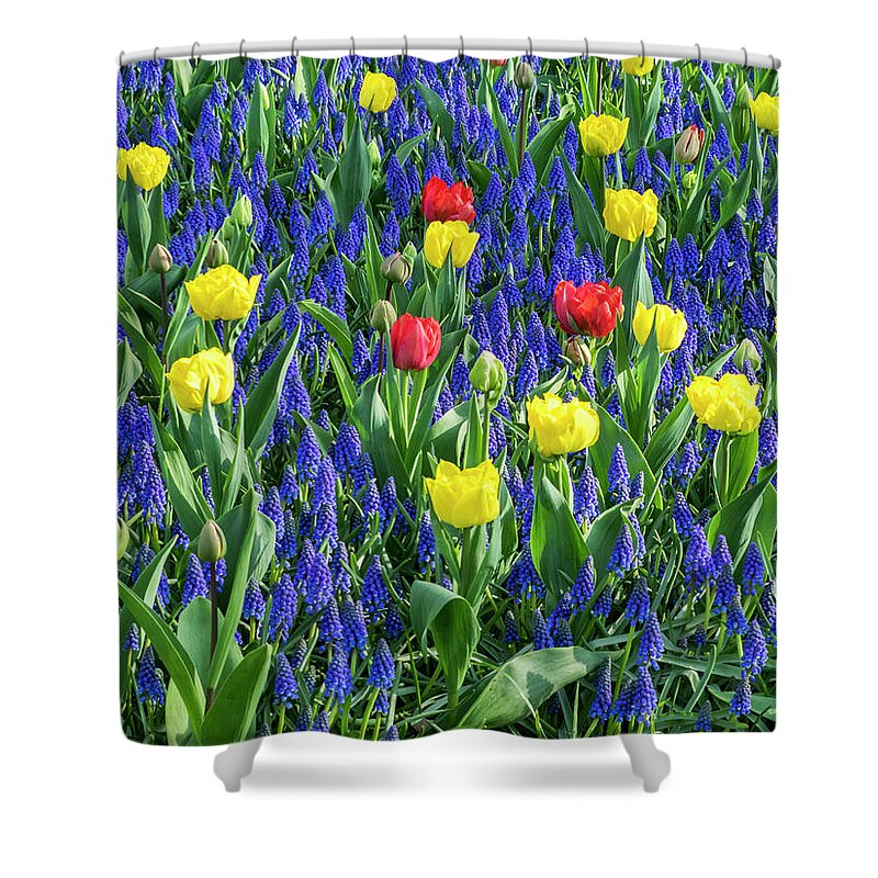 Agricultural Shower Curtain featuring the photograph Splash of Color by Eggers Photography