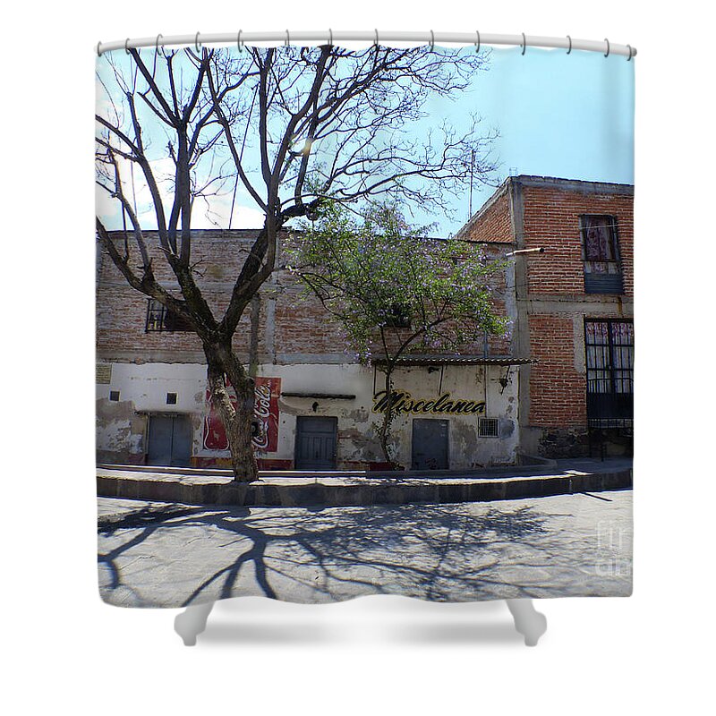 Telephoto Shower Curtain featuring the photograph San Miguel de Allende by Rosanne Licciardi
