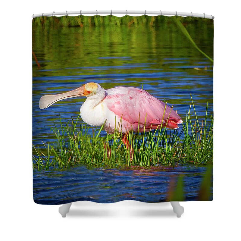 Spoonbill Shower Curtain featuring the photograph Spoonbill at Sunset by Mark Andrew Thomas