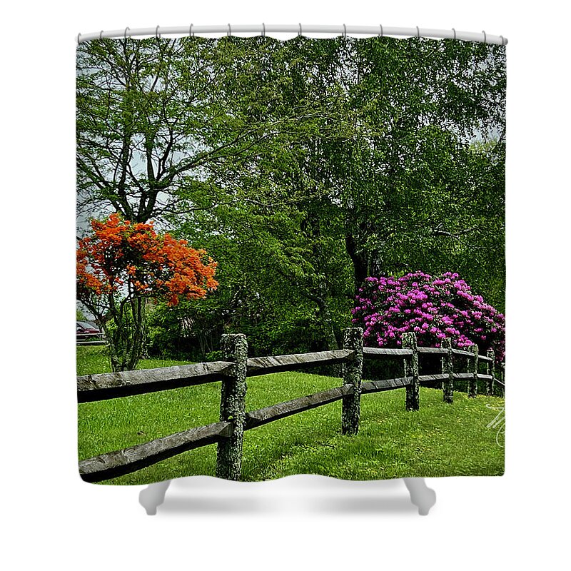Blue Ridge Parkway Shower Curtain featuring the photograph Spring Blooms by Meta Gatschenberger