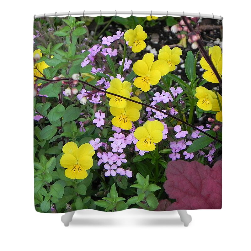  Shower Curtain featuring the photograph Spring Blossom by John Parry