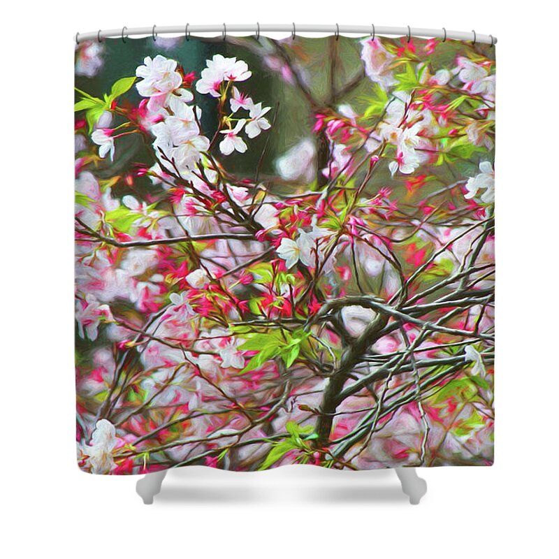 Blossom Shower Curtain featuring the photograph Spring Blossoms by Bonnie Follett