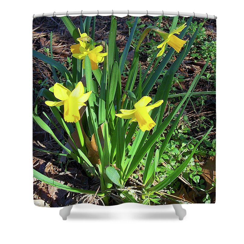 Flowers Shower Curtain featuring the photograph Spring Flowers by Matthew Seufer