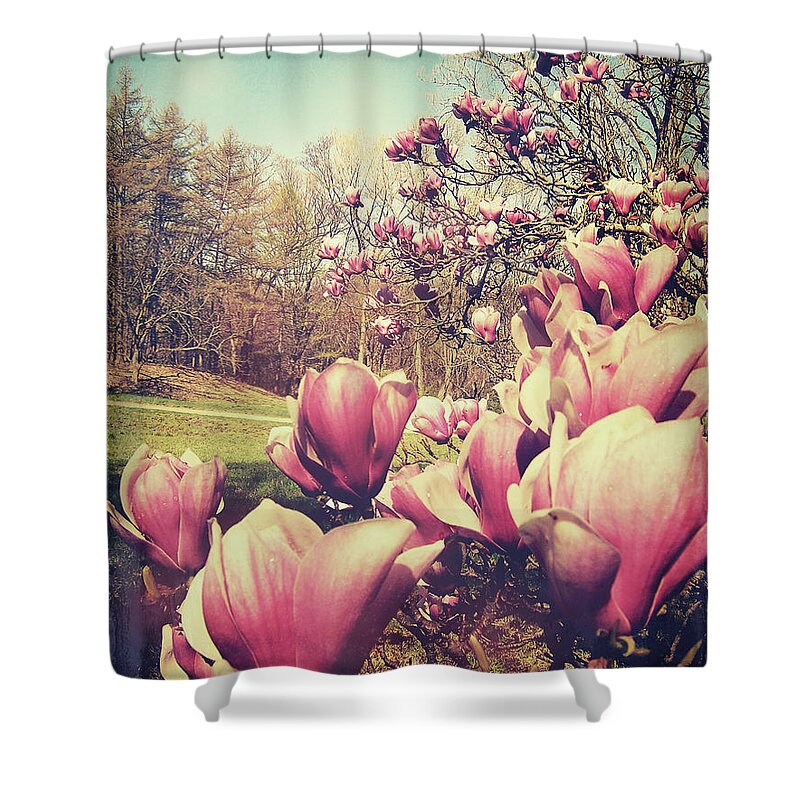 Flowers Shower Curtain featuring the photograph Spring Flowers by Phil Perkins