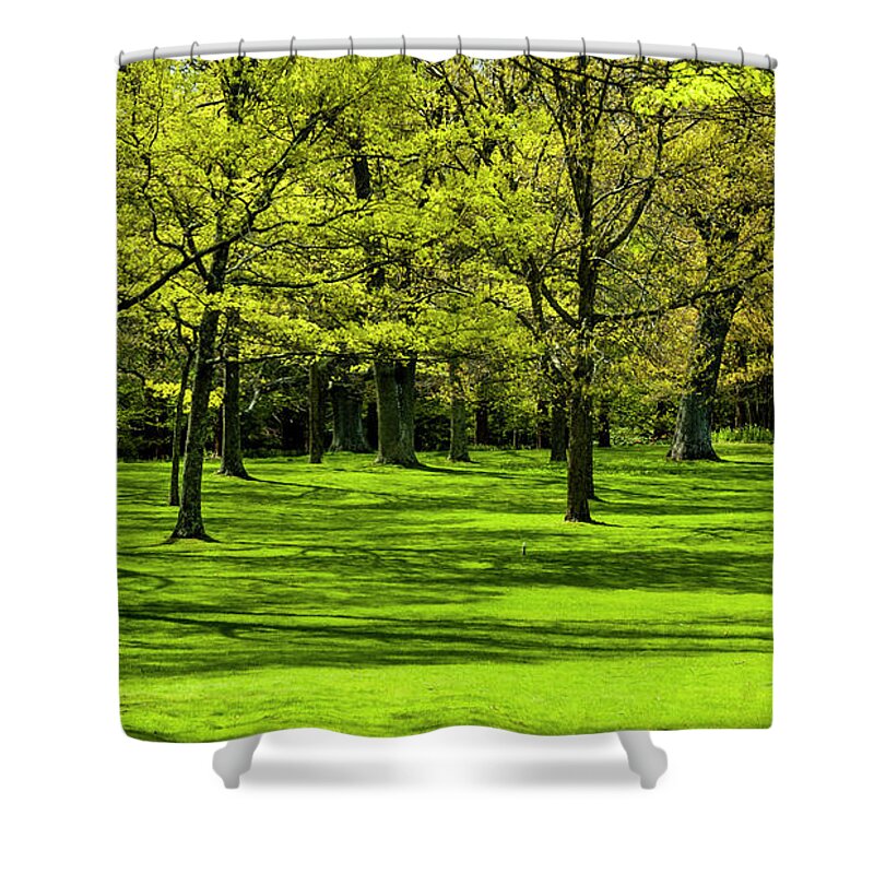 Park Shower Curtain featuring the photograph Spring Greenery by Cathy Kovarik