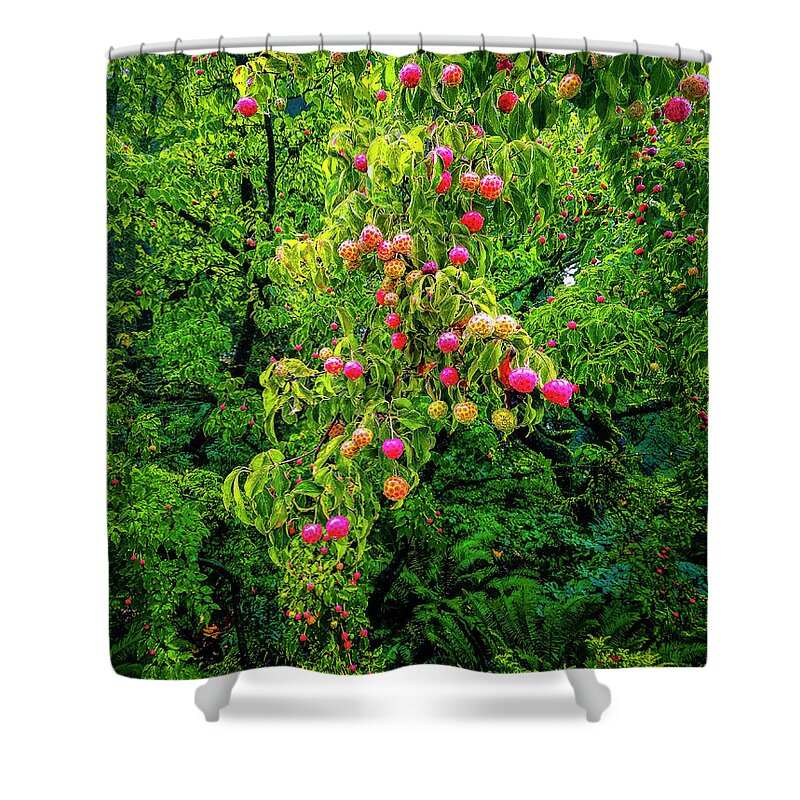 Jon Burch Shower Curtain featuring the photograph Spring Growth by Jon Burch Photography