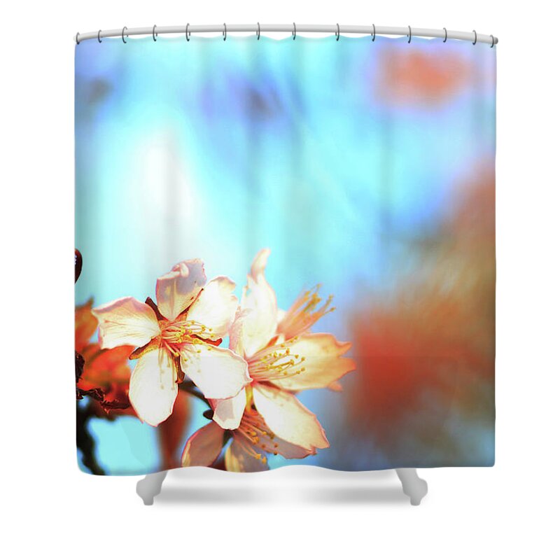 Cherry Shower Curtain featuring the photograph Spring in the air by Maria Dimitrova