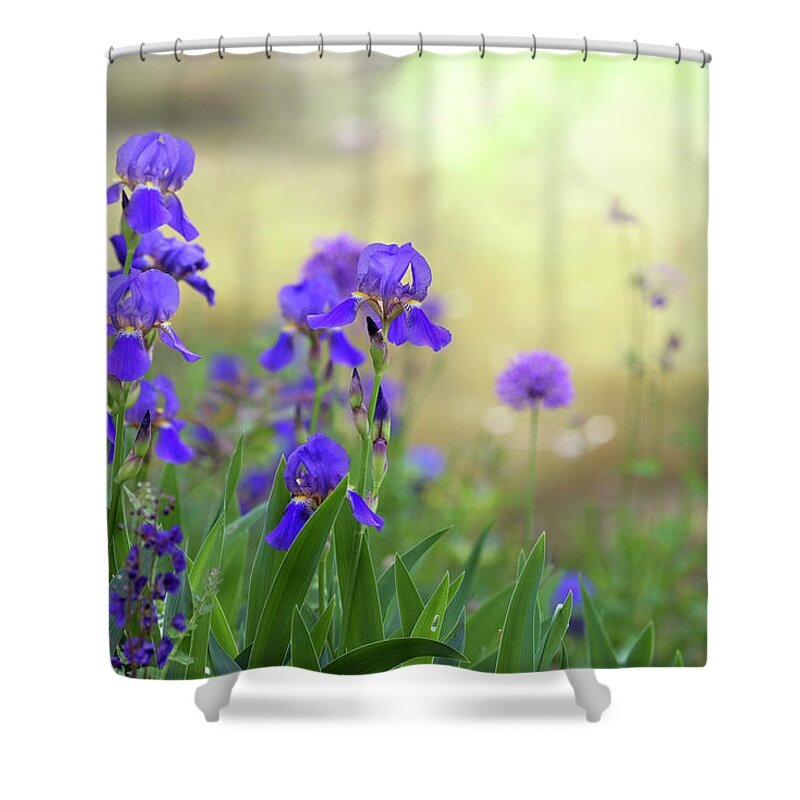 Jenny Rainbow Fine Art Photography Shower Curtain featuring the photograph Spring Meadow by Jenny Rainbow