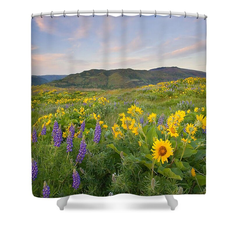 Meadow Shower Curtain featuring the photograph Spring Meadows by Michael Dawson