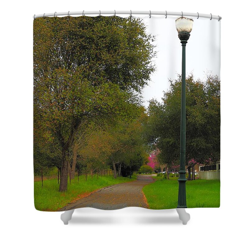 Season Shower Curtain featuring the photograph Spring Path by Richard Thomas