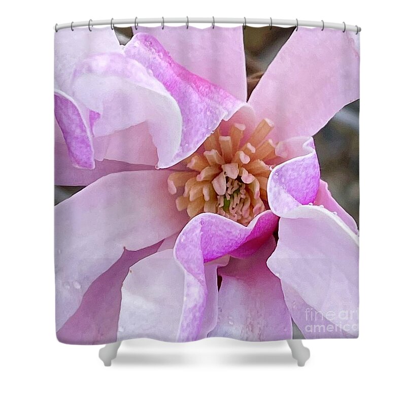 Spring Shower Curtain featuring the photograph Spring Pink Blossom by Carol Groenen