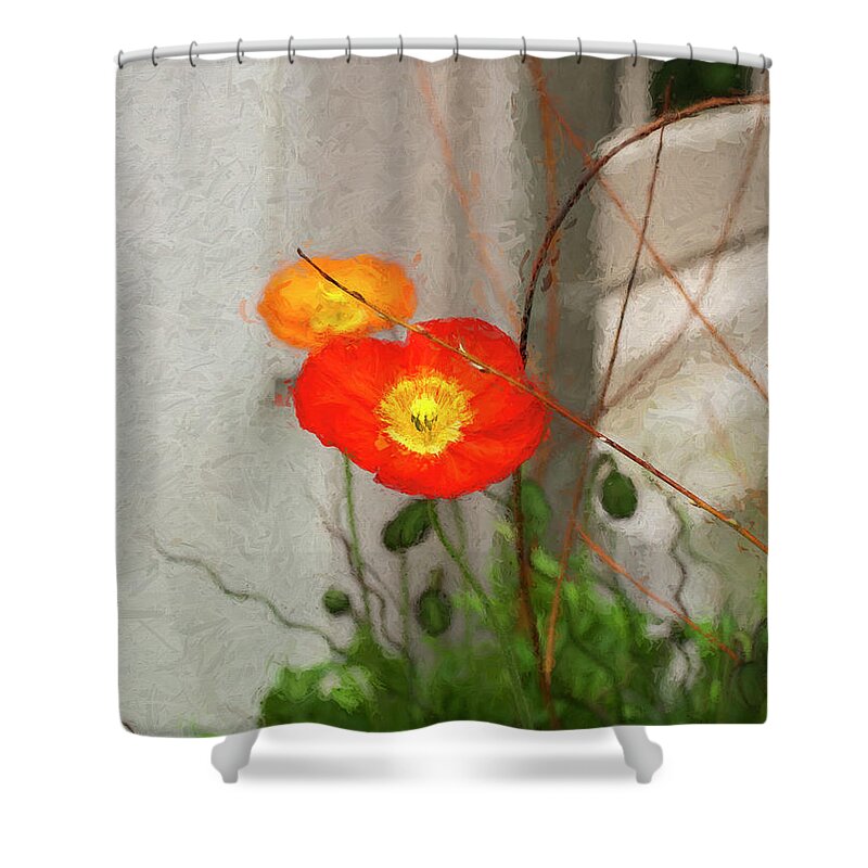 Poppy. Poppies Shower Curtain featuring the photograph Spring Poppies by Ginger Stein