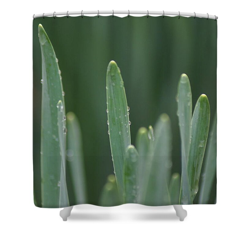 Water Shower Curtain featuring the photograph Spring Rain by Heather E Harman