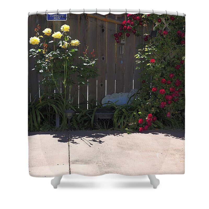 Landscape Shower Curtain featuring the photograph Spring Run by Richard Thomas